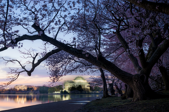 National Mall & Memorial Parks