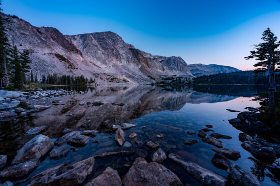 Medicine Bow Routt National Forest