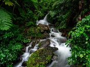 El Yunque National Forest