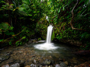 El Yunque National Forest 