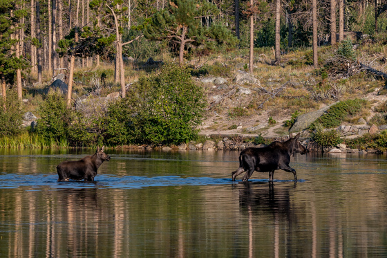 Rocky Mountain National Park - Sprague Lake