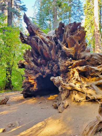 Yosemite National Park