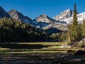 Inyo National Forest