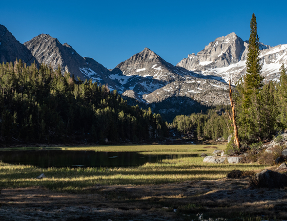 Inyo National Forest