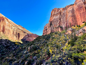 Zion National Park