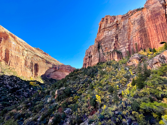 Zion National Park