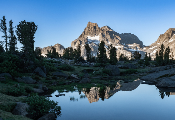 Inyo National Forest