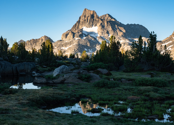 Inyo National Forest