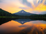 Mt. Hood National Forest