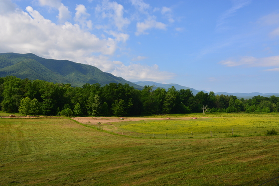 Great Smoky Mountains National Park