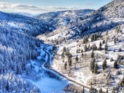 Uinta-Wasatch-Cache National Forests