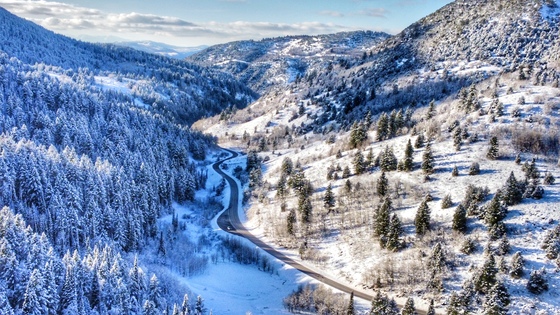 Uinta-Wasatch-Cache National Forests
