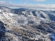 Uinta-Wasatch-Cache National Forests