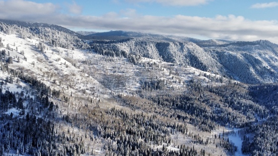 Uinta-Wasatch-Cache National Forests