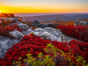 Dolly Sods Wilderness