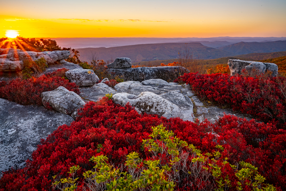 Dolly Sods Wilderness