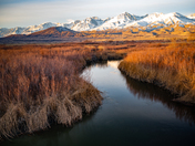 Inyo National Forest