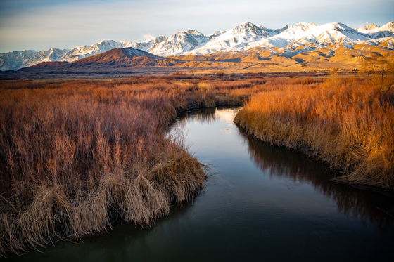 Inyo National Forest