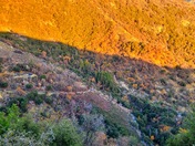Sequoia National Park