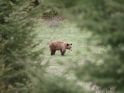 Grand Teton National Park