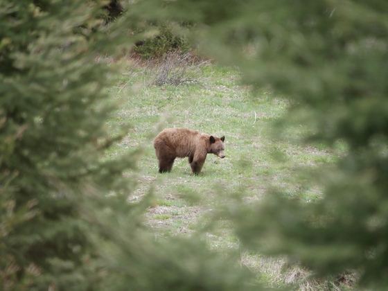 Grand Teton National Park