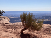 Canyonlands National Park