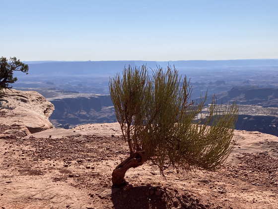 Canyonlands National Park