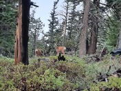 Bryce Canyon National Park