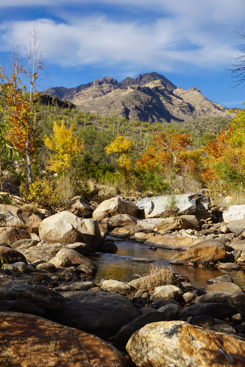Sabino Canyon Recreation Area