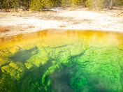 Yellowstone National Park