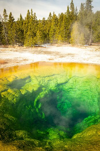 Yellowstone National Park