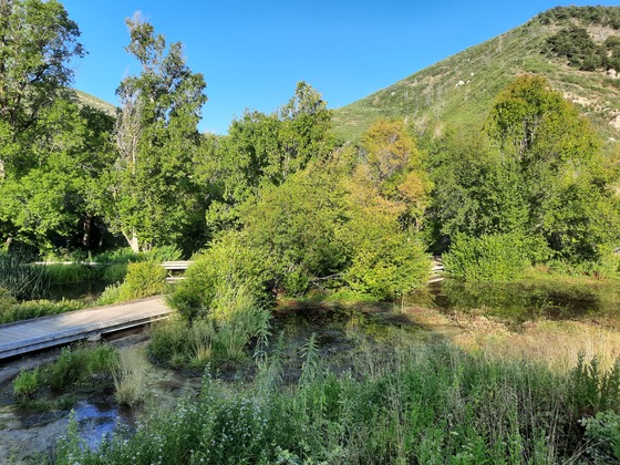 Cascade Springs 
