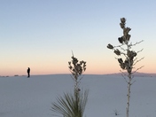 White Sands National Park
