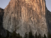 Yosemite National Park 