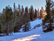 Sequoia National Park