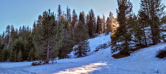 Sequoia National Park