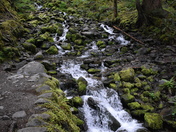Olympic National Park