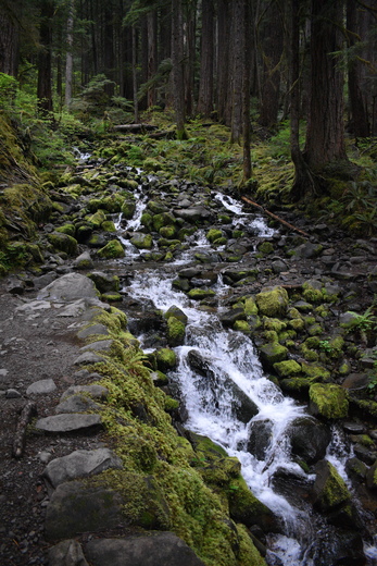 Olympic National Park