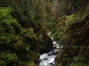 Olympic National Park