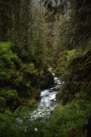 Olympic National Park