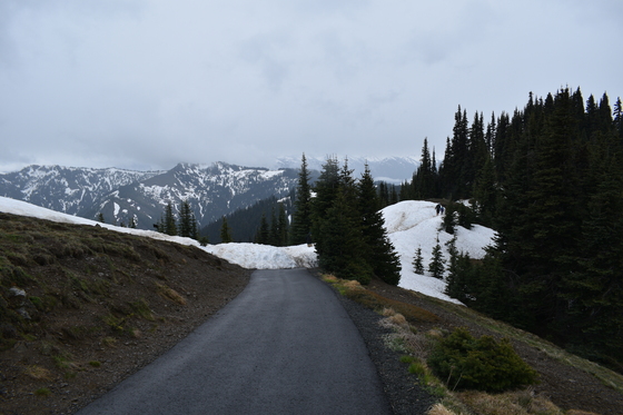 Olympic National Park