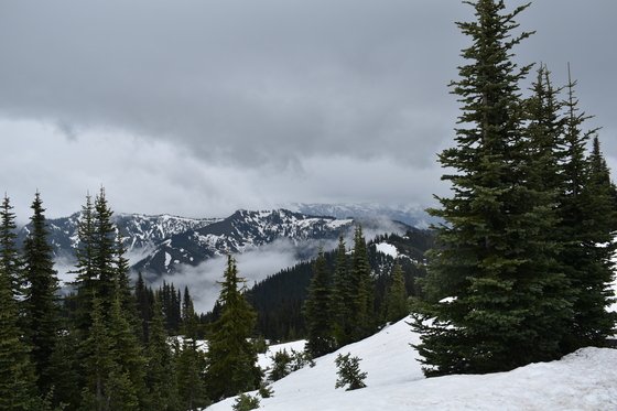 Olympic National Park