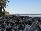 Olympic National Park