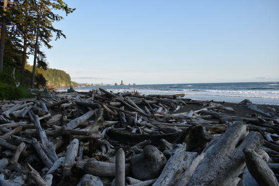 Olympic National Park
