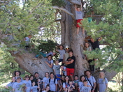 Limber Pine Trail