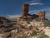 Canyonlands National Park (The Needles)