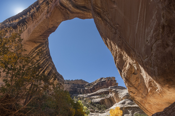 Natural Bridges National Monument