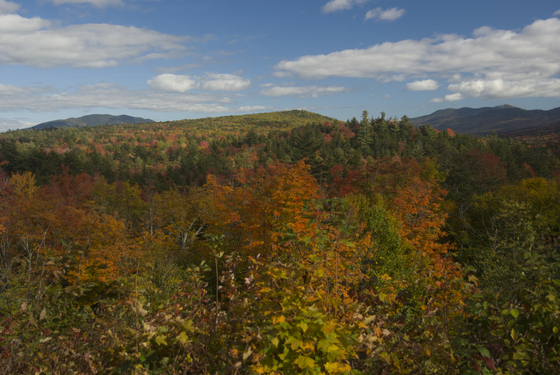 White Mountain National Forest