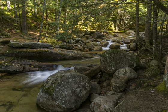 White Mountain National Forest