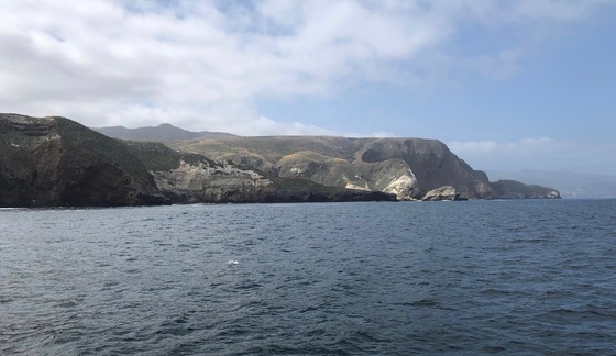 Channel Islands National Park